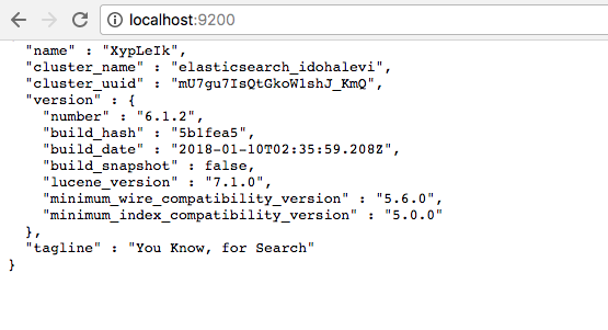 Localhost